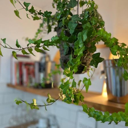 Charming Appartement In The Heart Of Barcelona Ngoại thất bức ảnh