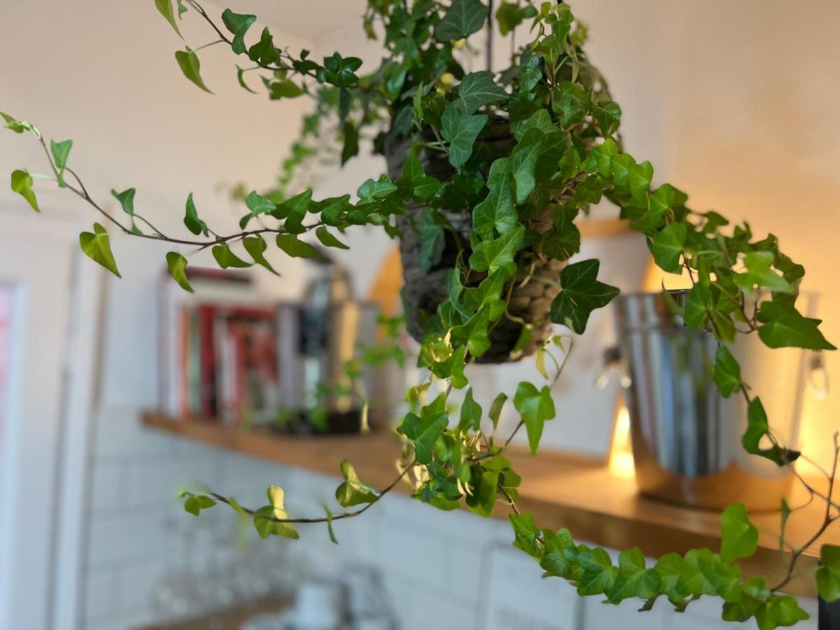 Charming Appartement In The Heart Of Barcelona Ngoại thất bức ảnh